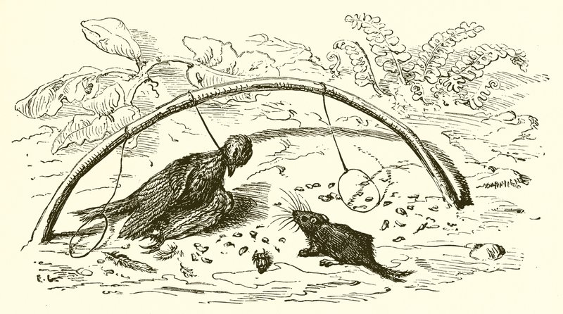O Fowler e a Cotovia de Ernest Henry Griset