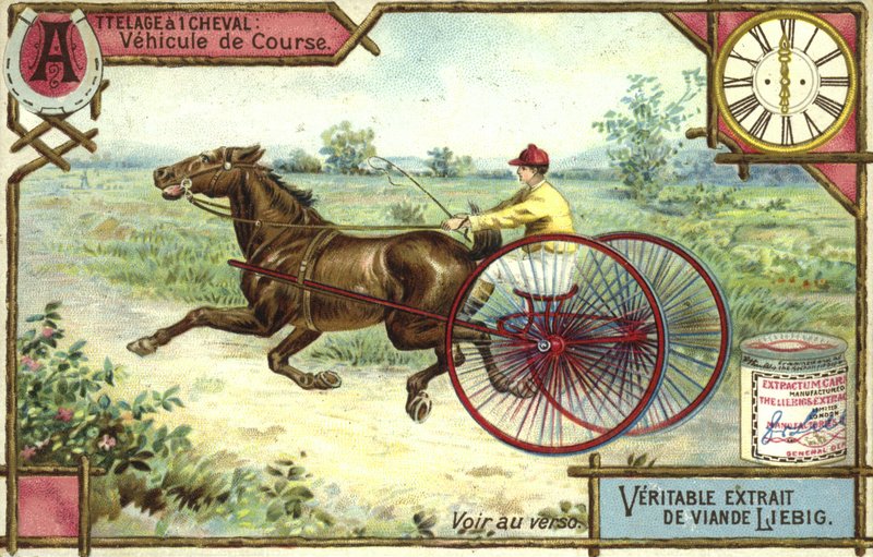 Corrida mal-humorada de European School