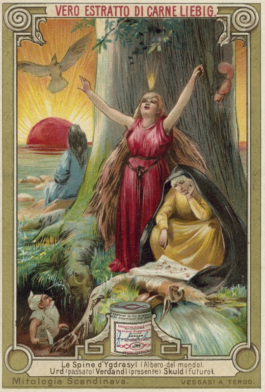 A árvore Yggdrasil de European School