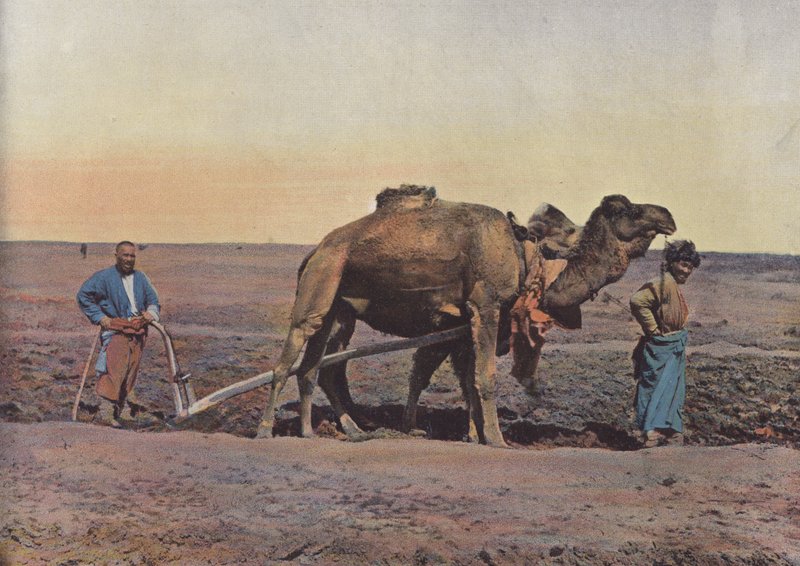 Agricultor Tekes de European Photographer
