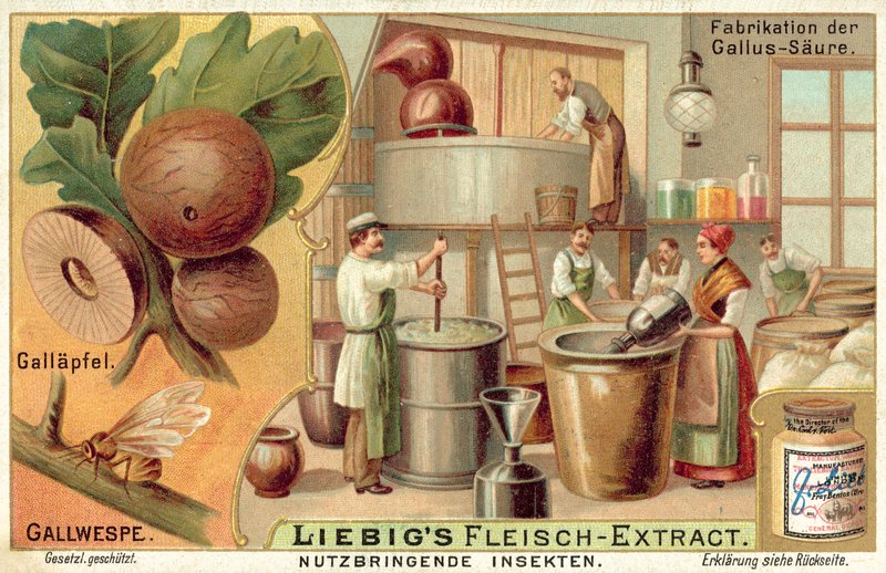 Vespa Gall (cromolitho) de European School