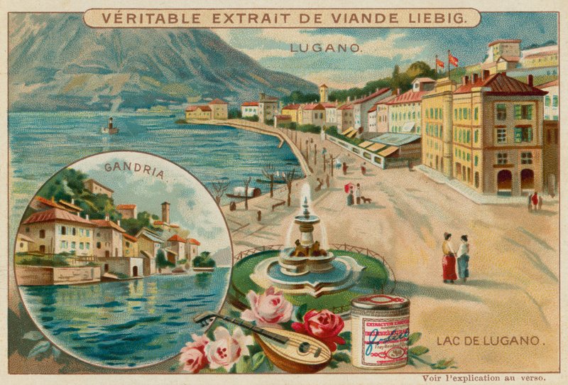 Lake Lugano de European School