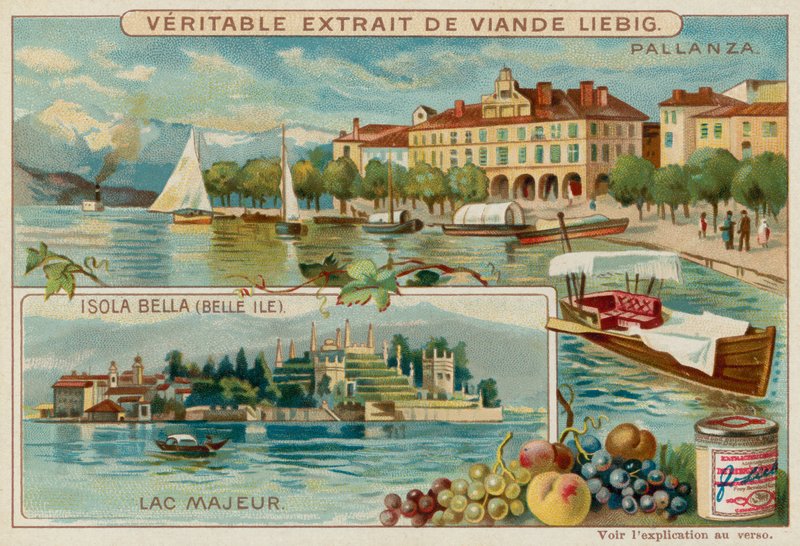 Lago Maggiore de European School