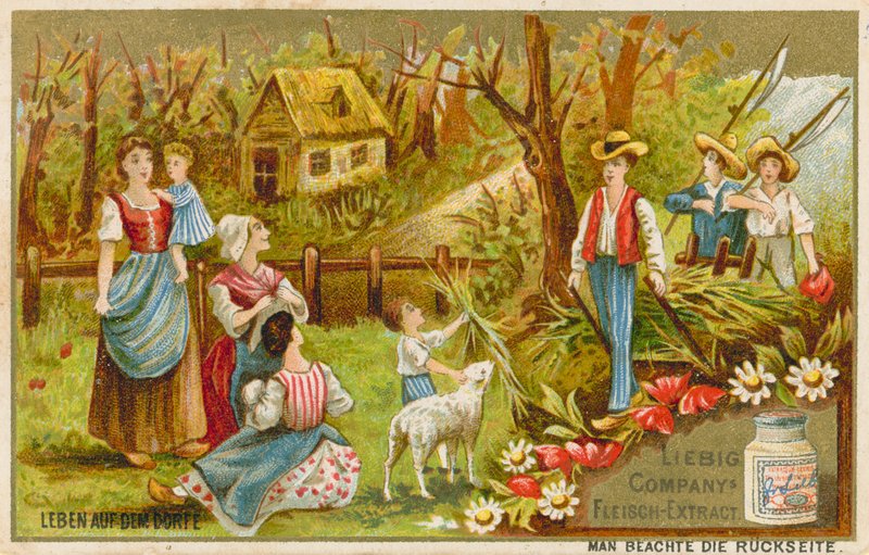 A vida na aldeia de European School