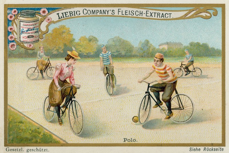 Polo de European School