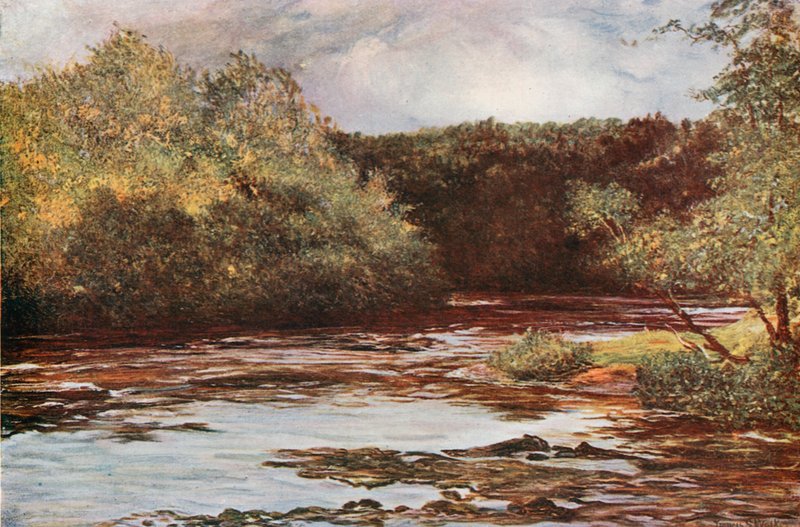 O rio Ayr em Failford de Francis S. Walker
