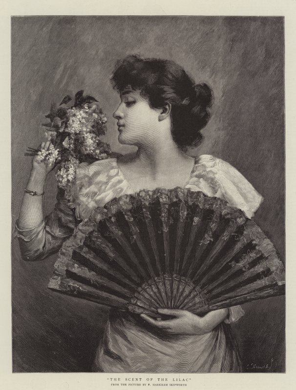 O perfume do lilás de Frank Markham Skipworth