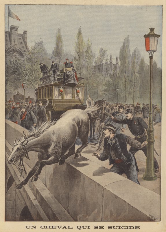 Suicídio de um cavalo de French School