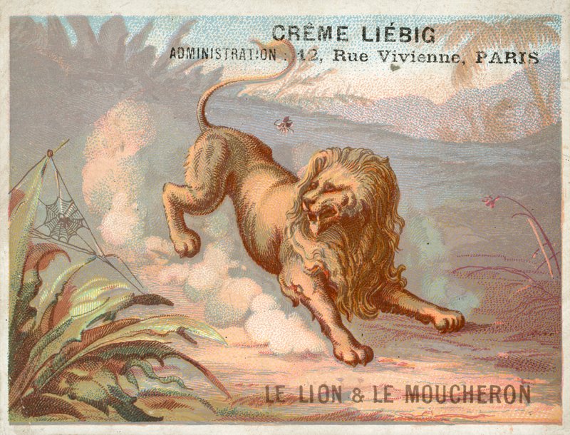 O Leão e o Mosquito de French School