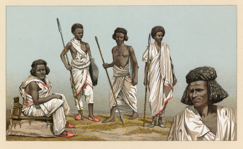 Fantasia de África de French School