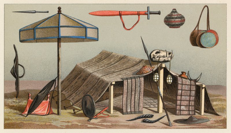 Fantasia de África de French School