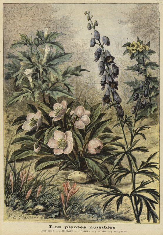 Plantas prejudiciais de French School