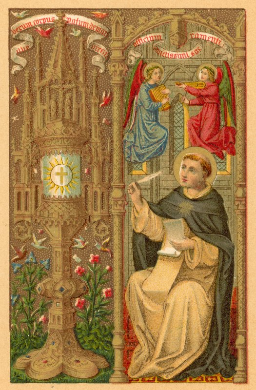 S Thomas Aquini de French School