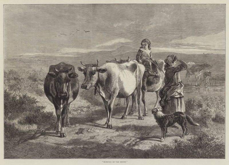 Manhã nos mouros de George Bouverie Goddard