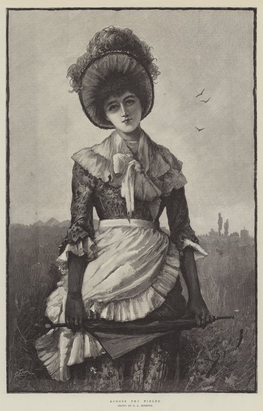 Através dos campos de George L. Seymour