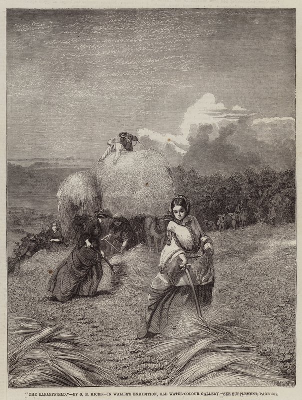 The Barleyfield de George Elgar Hicks