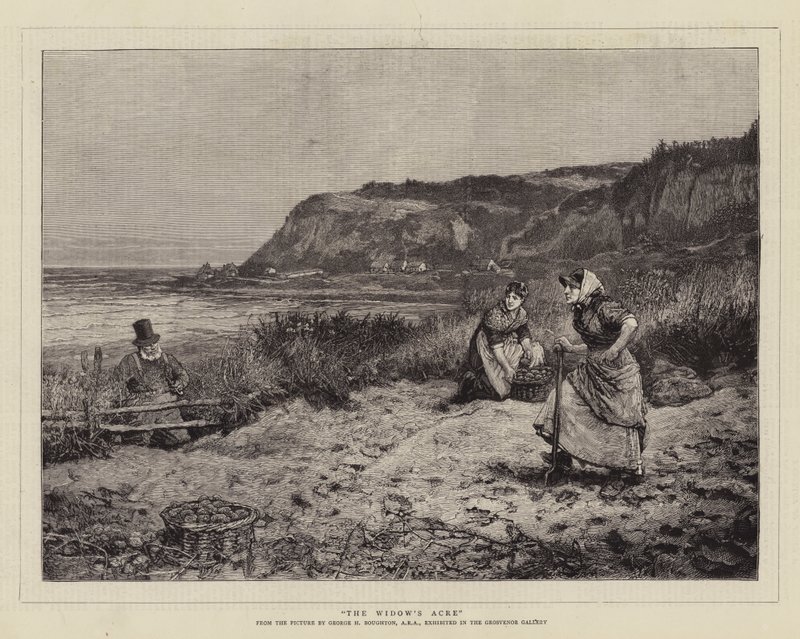 O Acre da Viúva de George Henry Boughton
