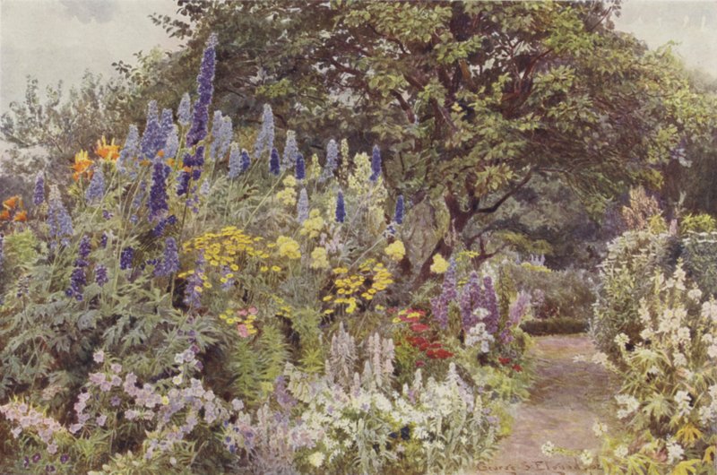 Ramscliffe, Larkspur de George Samuel Elgood