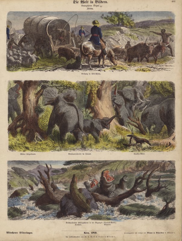 África (gravura colorida) de German School