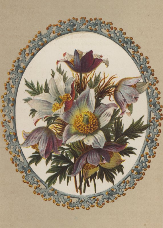 Anémonas (chromolitho) de German School