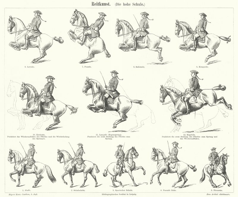 Horsemanship (gravura) de German School