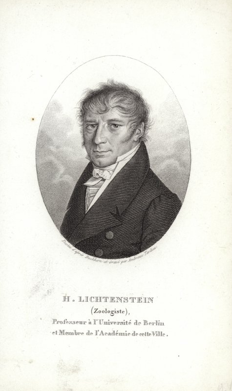 Martin Lichtenstein de German School