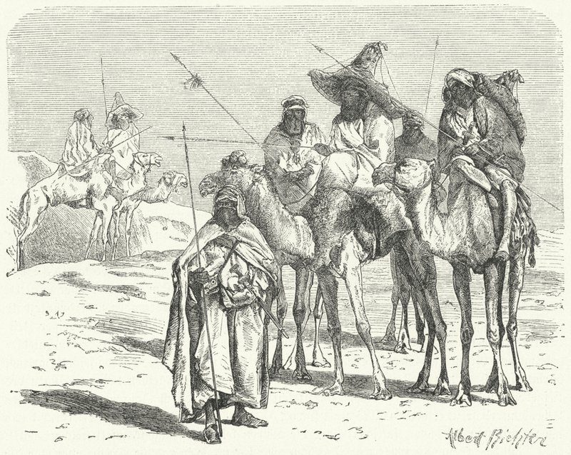 Tuaregs (gravura) de German School