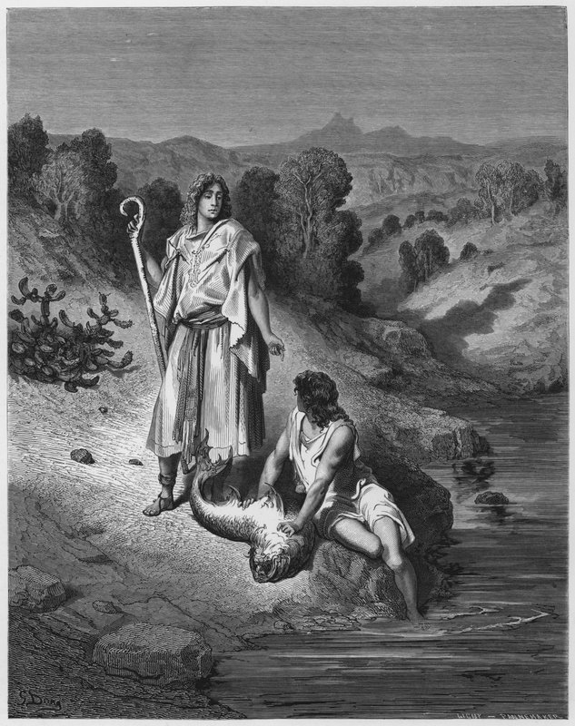 Gustave Dore Bible: Tobias e o Anjo de Gustave Dore