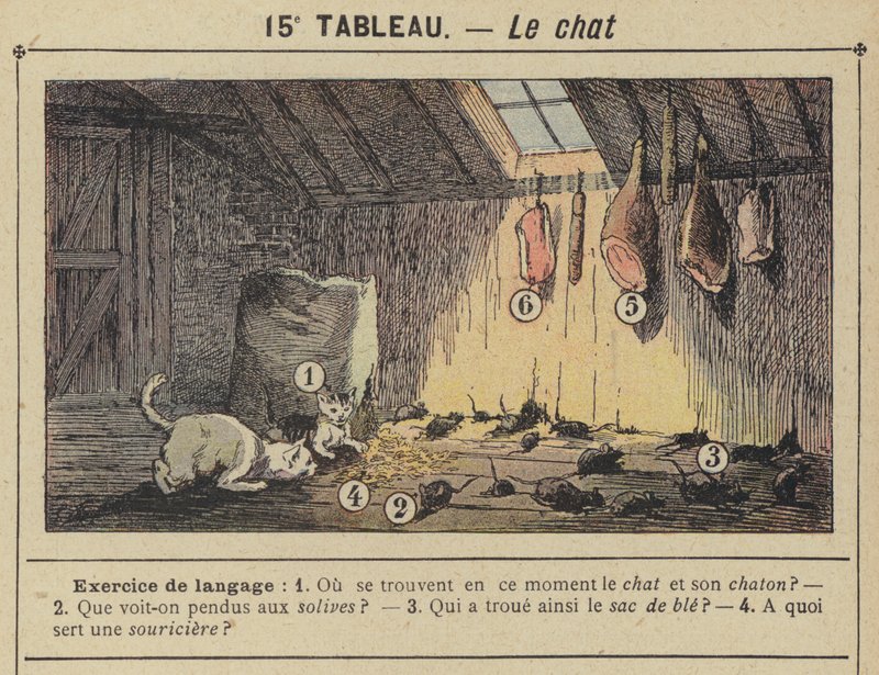 O gato (cor litho) de Gustave Fraipont