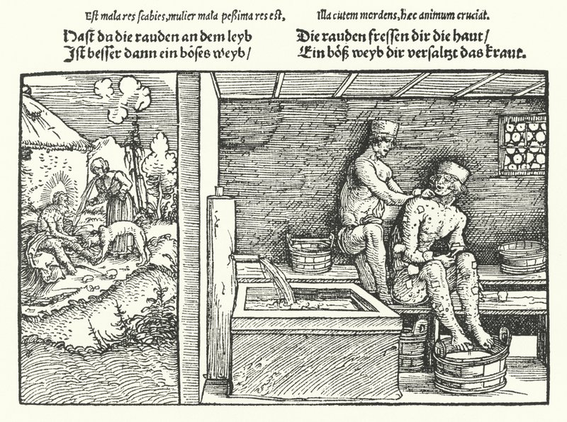 Sarna (gravura) de Hans (after) Burgkmair