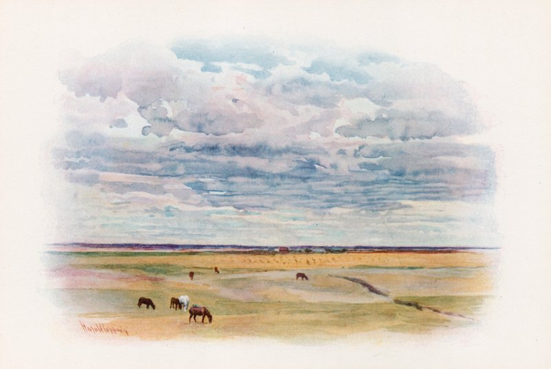 A pradaria em Elstow, Saskatchewan de Harold Copping