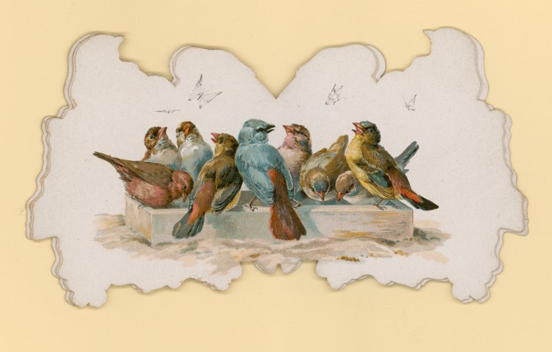 Pássaros (cor litho) de Hector Giacomelli