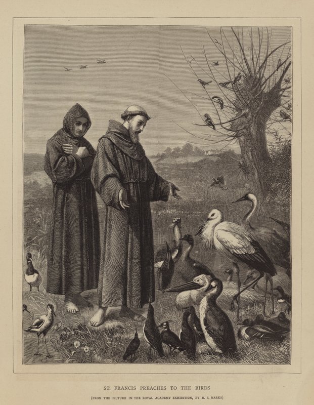 São Francisco prega aos pássaros de Henry Stacey Marks
