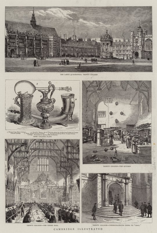 Cambridge Illustrated de Henry William Brewer