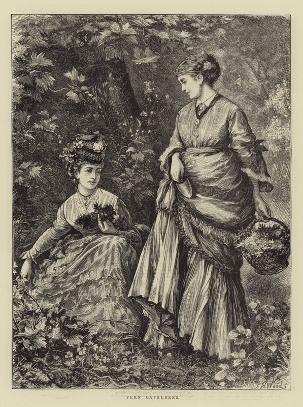 Caçadores de samambaia de Henry Woods