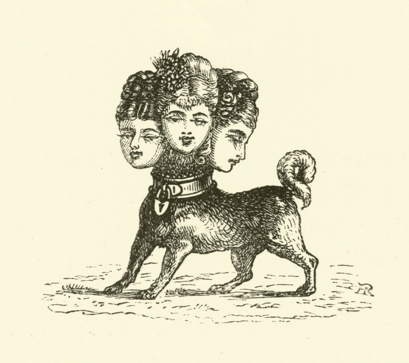Fêmea Cerberus (gravura) de Hugh Rowley