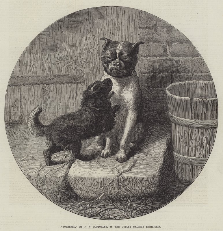 Incomodado de John William Bottomley