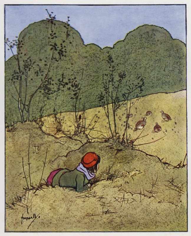 A perdiz (lito colorido) de John Hassall