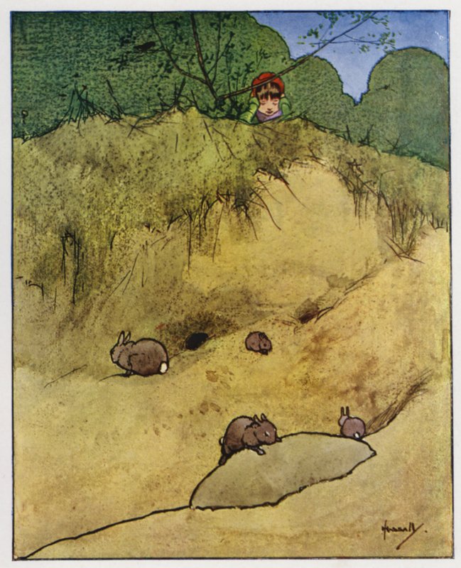 O coelho (cor litho) de John Hassall
