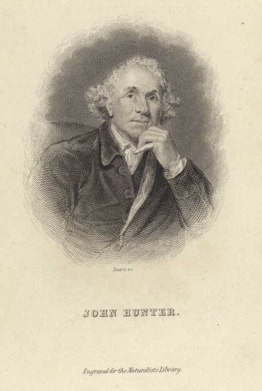 John Hunter de Joshua Reynolds