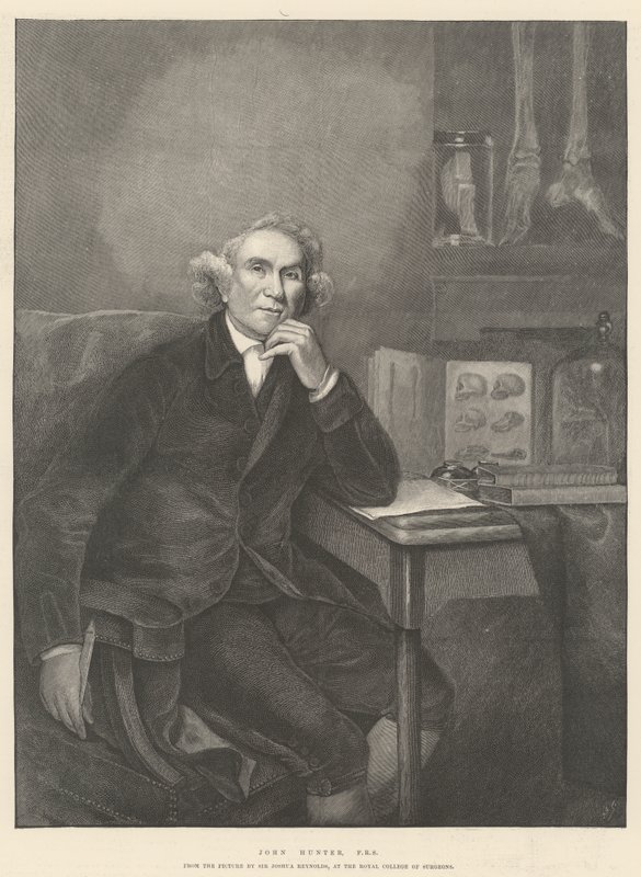 John Hunter, FRS de Joshua Reynolds