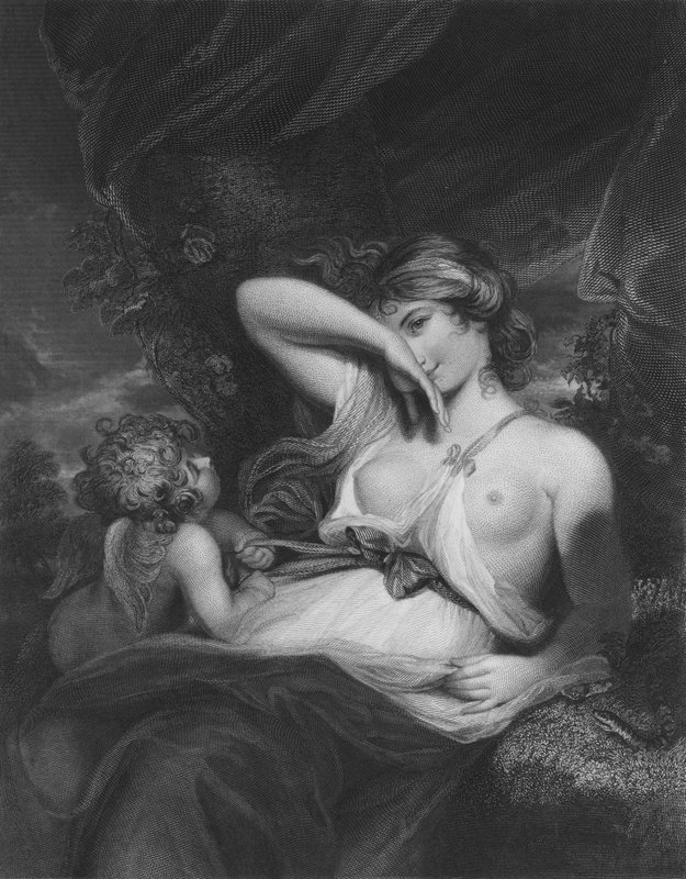 A cobra na grama de Joshua after Reynolds