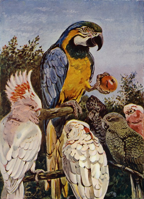 "Quem mordeu minha maçã?" (lito a cores) de Louis Fairfax Muckley