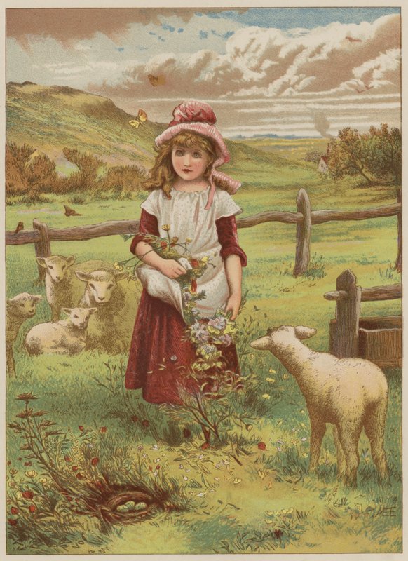 Menina, com, primavera, cordeiro, (chromolitho) de Mary Ellen Edwards