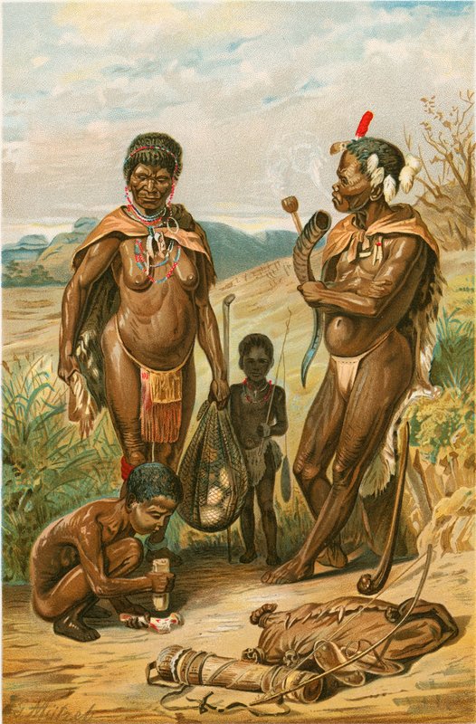 Família do bosquímano de North American