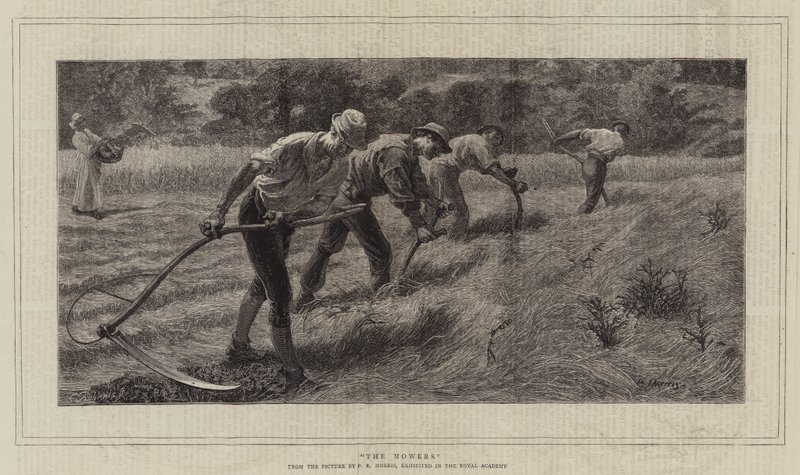 Os cortadores de Philip Richard Morris