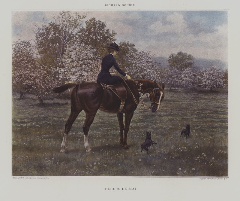 Mayflowers (flores de maio) de Richard Doyle
