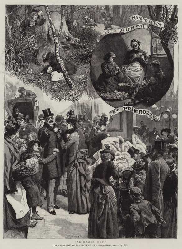 Dia de prímula de Robert Barnes