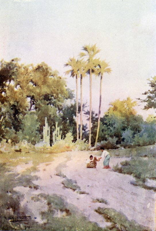 Primeiros passos de Robert George Talbot Kelly