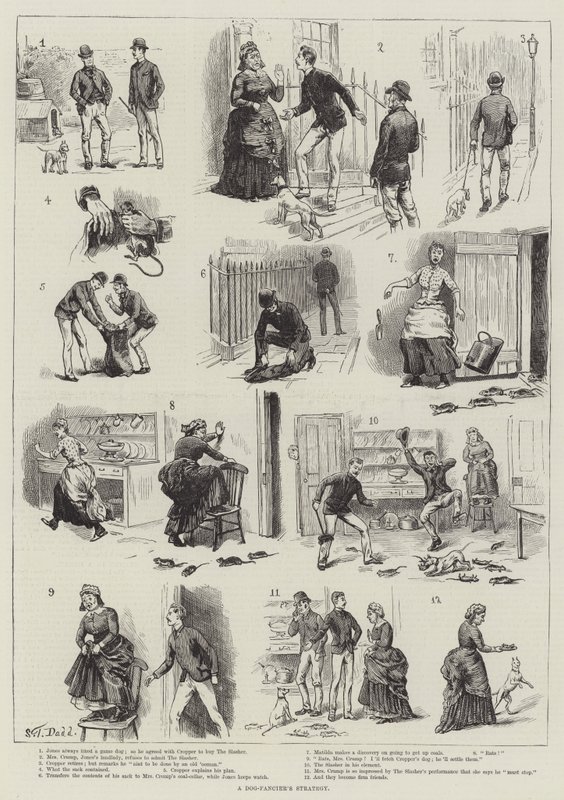 Estratégia de um Dog-Fancier de S.T. Dadd